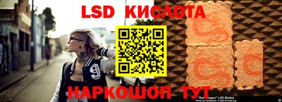 гашик Будённовск
