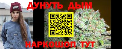 гашик Будённовск