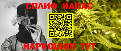 гашик Будённовск