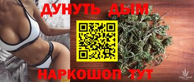 гашик Будённовск